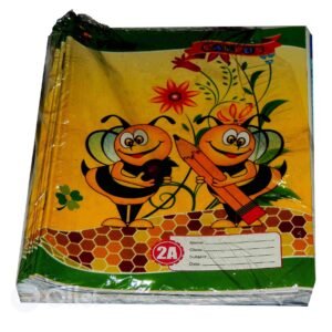 a4 2a exercise books (pack of 6)